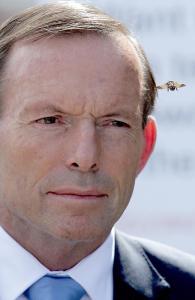 Image courtesy of news.com.au